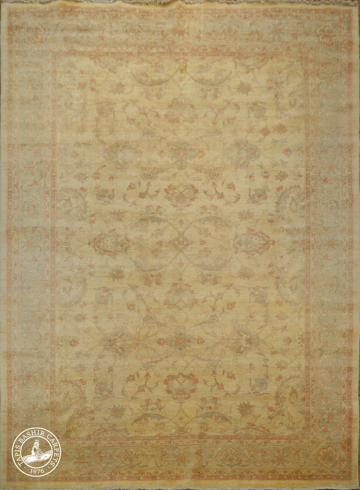Tapis Paktika
