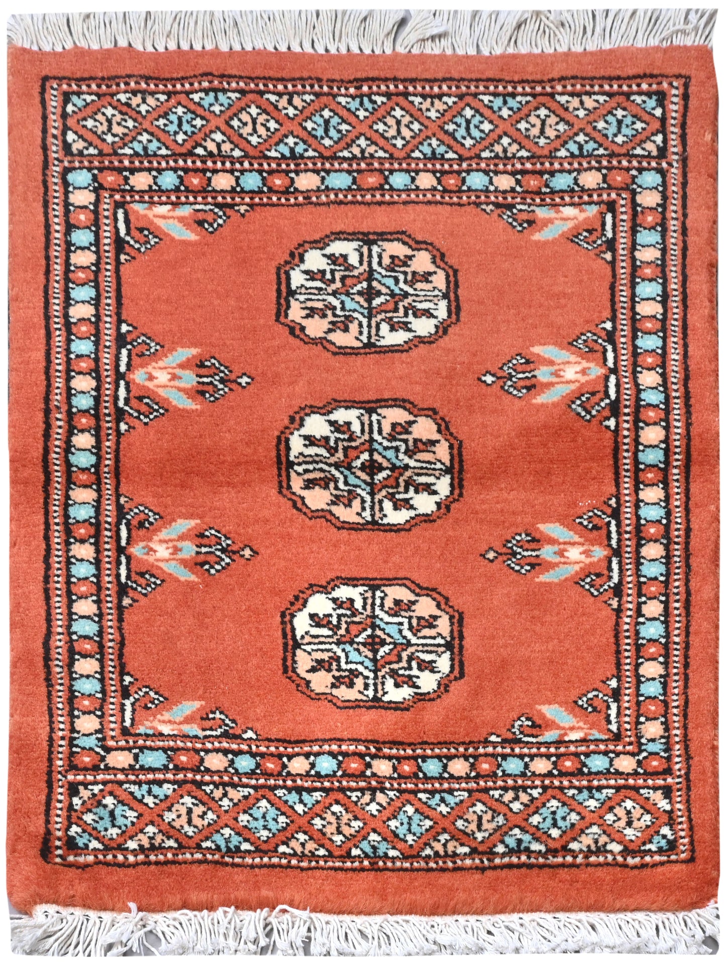 Bokhara Mauri