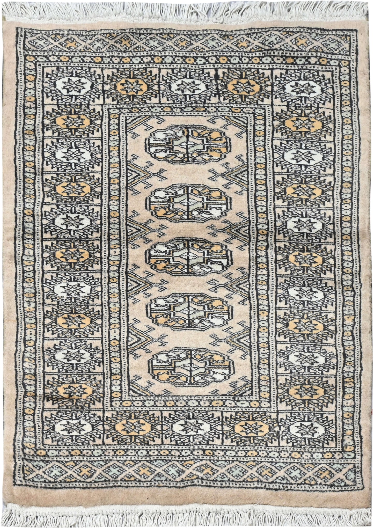 Bokhara Mauri