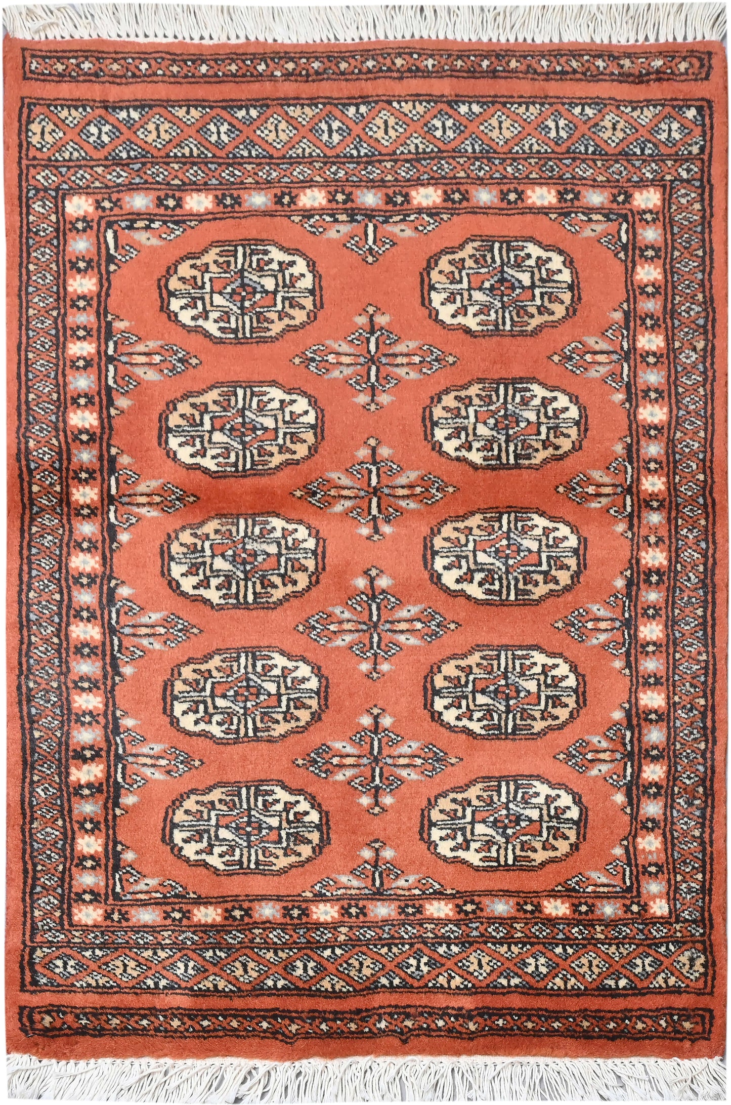 Bokhara Mauri