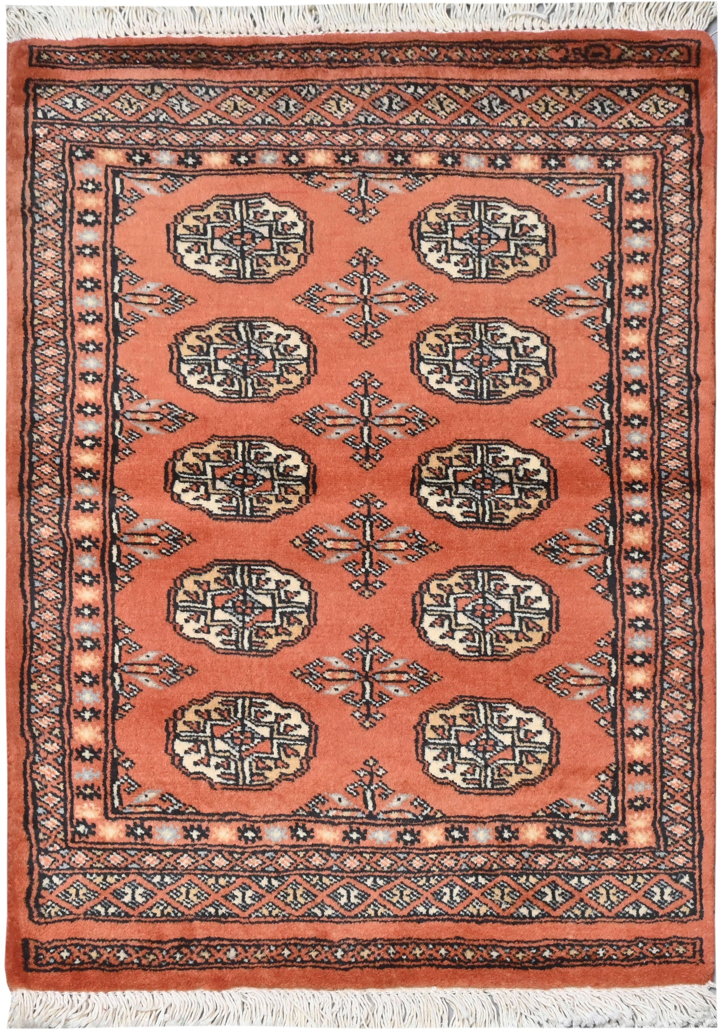 Bokhara Mauri