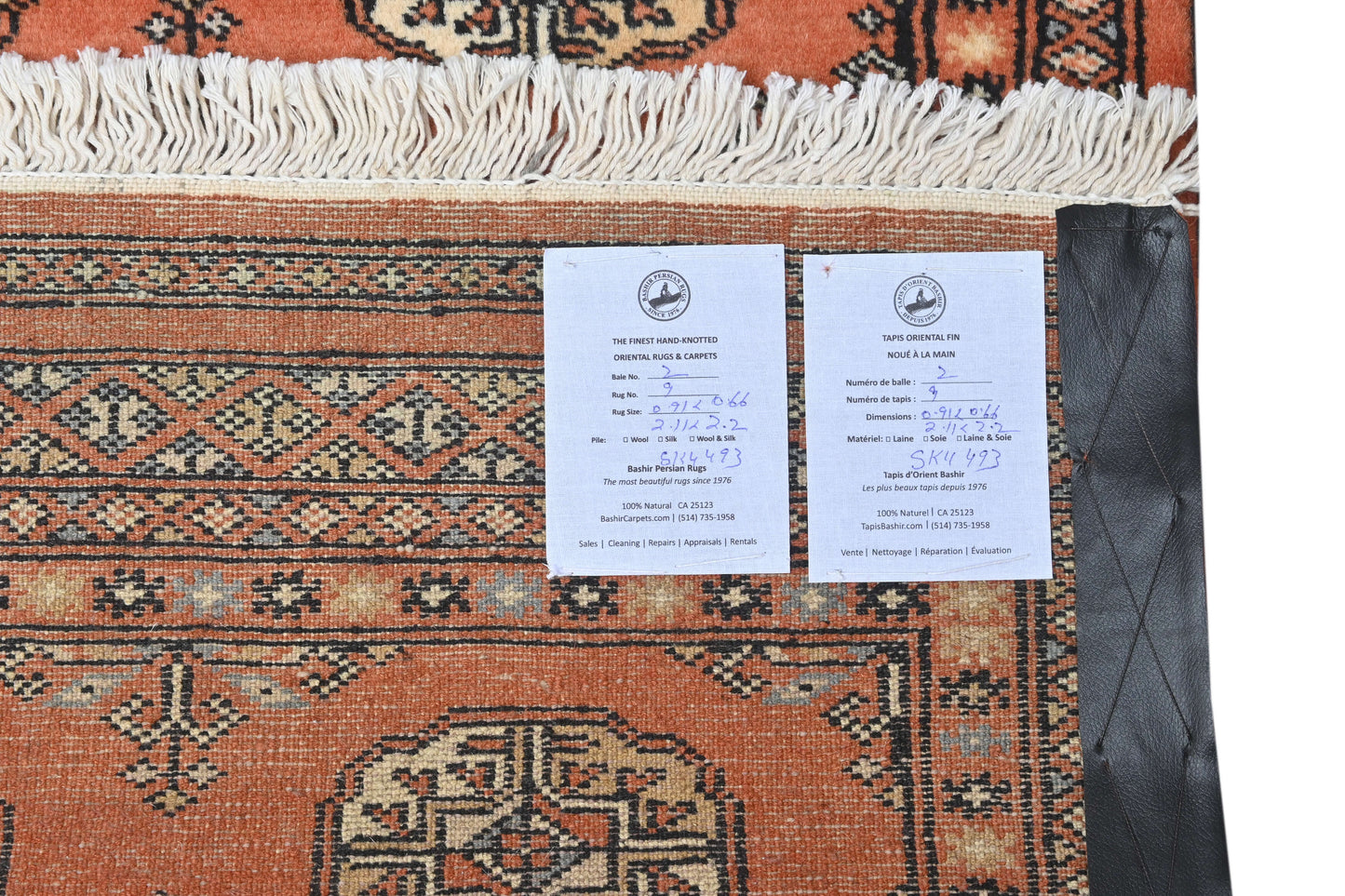 Bokhara Mauri
