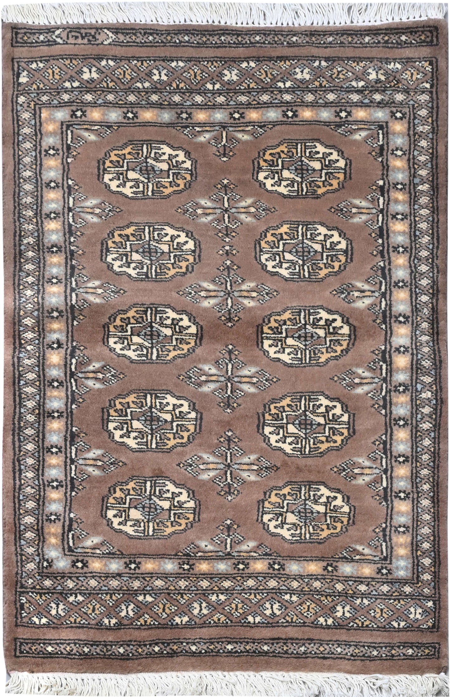 Bokhara Mauri