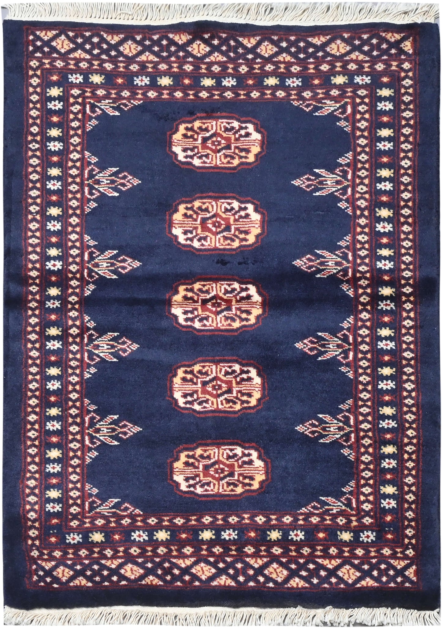 Bokhara Mauri