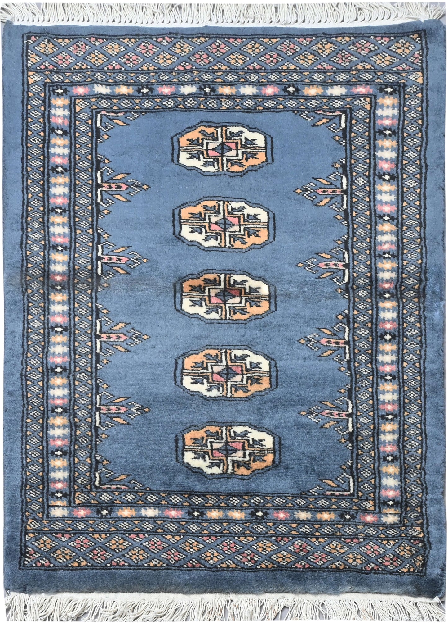 Bokhara Mauri