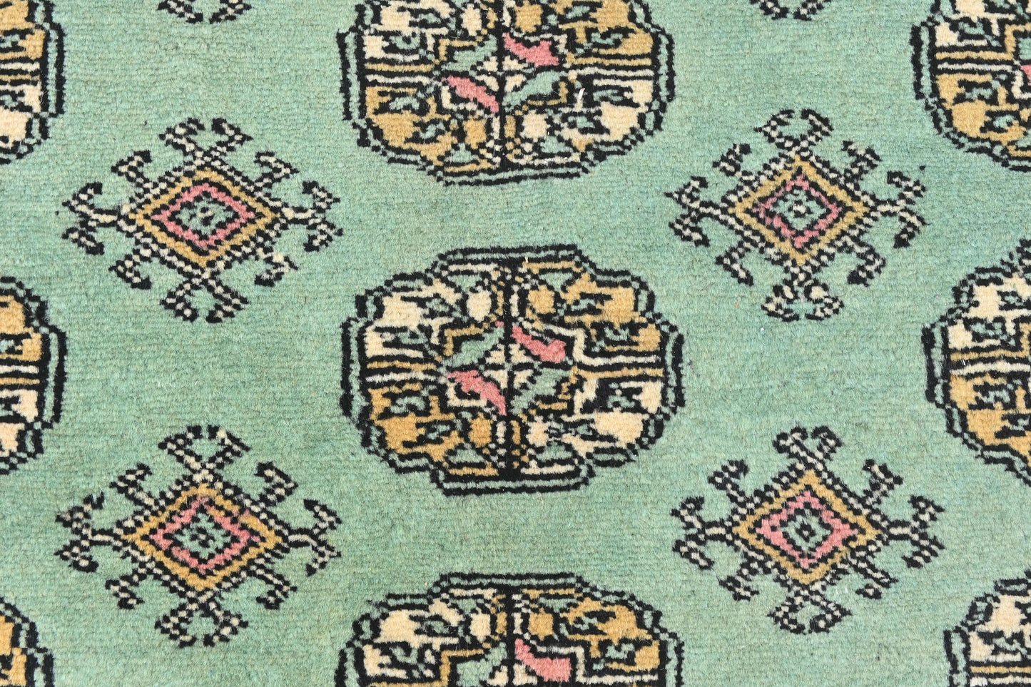 Bokhara Mauri