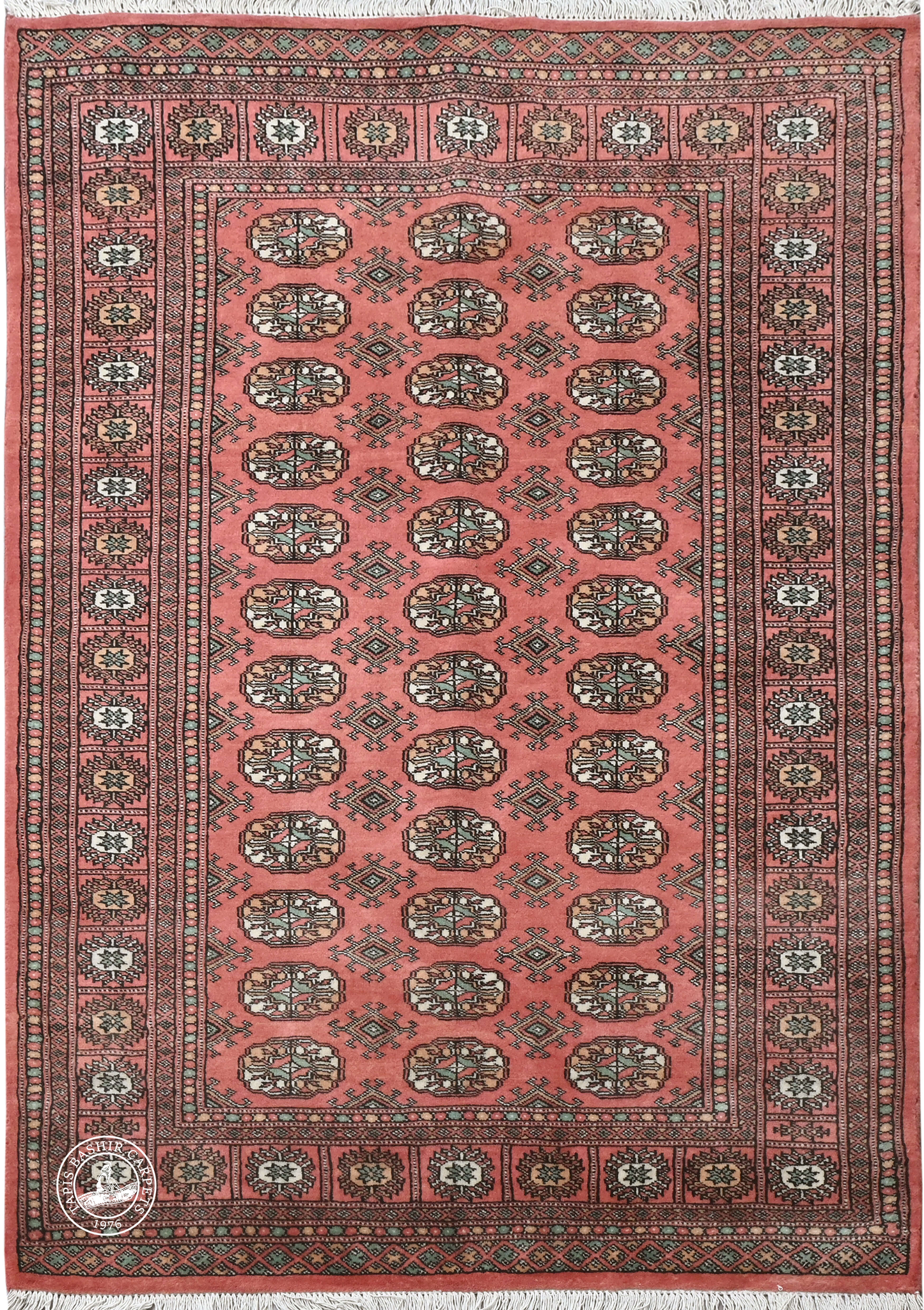 Bokhara Mauri