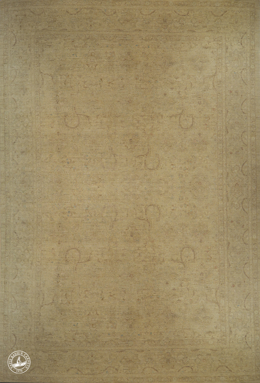 Color Reform Carpet