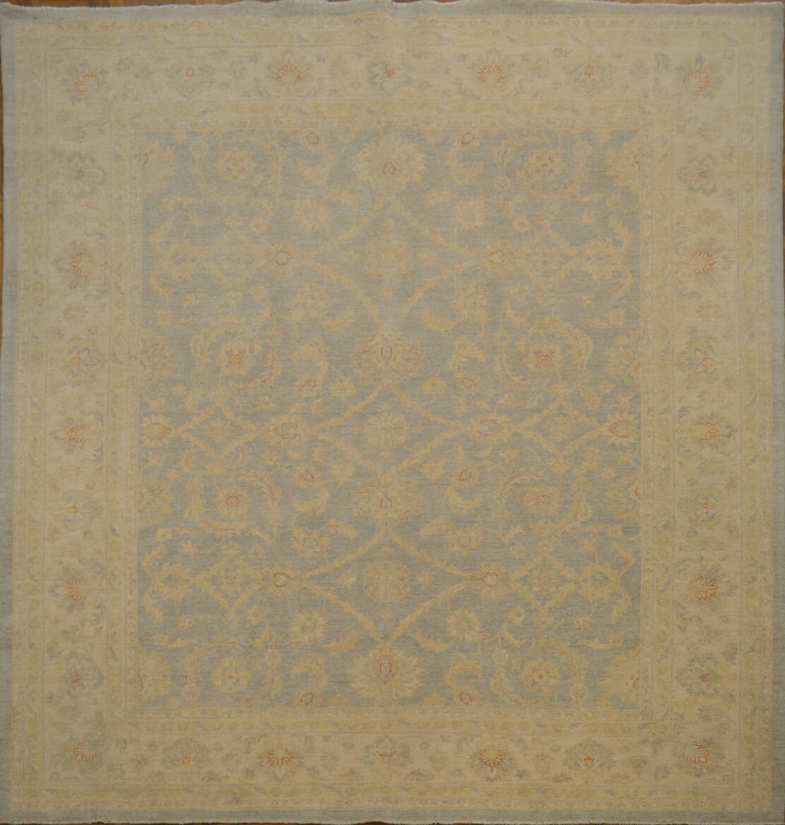 Helmand Lotus Carpet | 9'7" x 8'3" | Home Decor | Hand-knotted Wool Area Rug