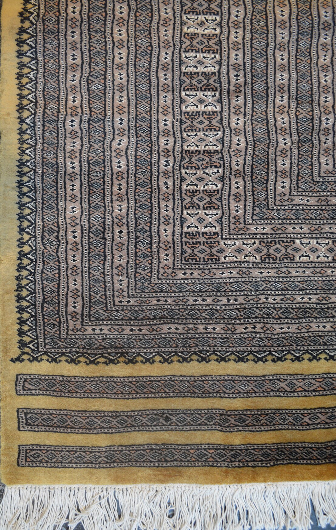 Bokhara Pende Carpet | 13'9" x 9'11" | Home Decor | Hand-knotted Wool Area Rug